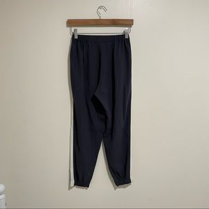 Aritzia Dexter pants